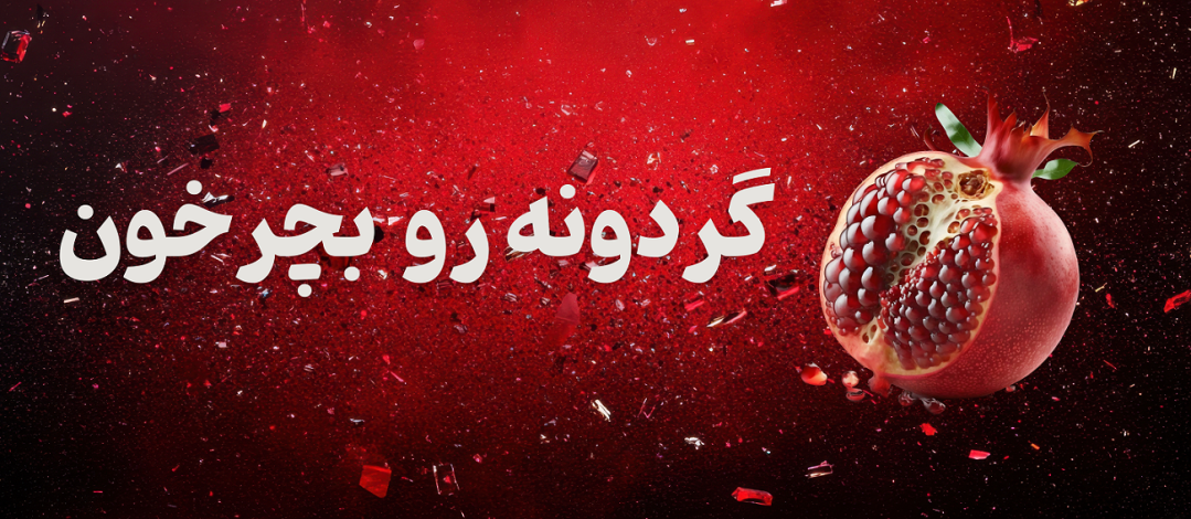 تخفیف یلدایی همیار HSE