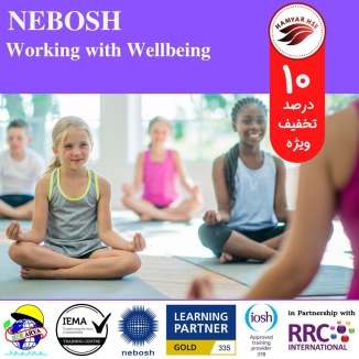 NEBOSH Working with Wellbeing - 2021